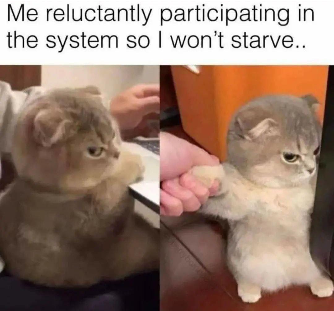 This meme features a cat with a stern expression, looking at a computer screen. The image is captioned "I'm not arguing, I'm just explaining why I won't comply" and the text "I'm not arguing, I'm just explaining why I won't comply" is displayed in a thought bubble above the cat's head. The meme is a humorous take on a common experience of being forced to follow instructions, with the cat's expression and the caption poking fun at the idea of being a reluctant participant.